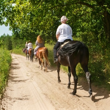 Randonnée à cheval